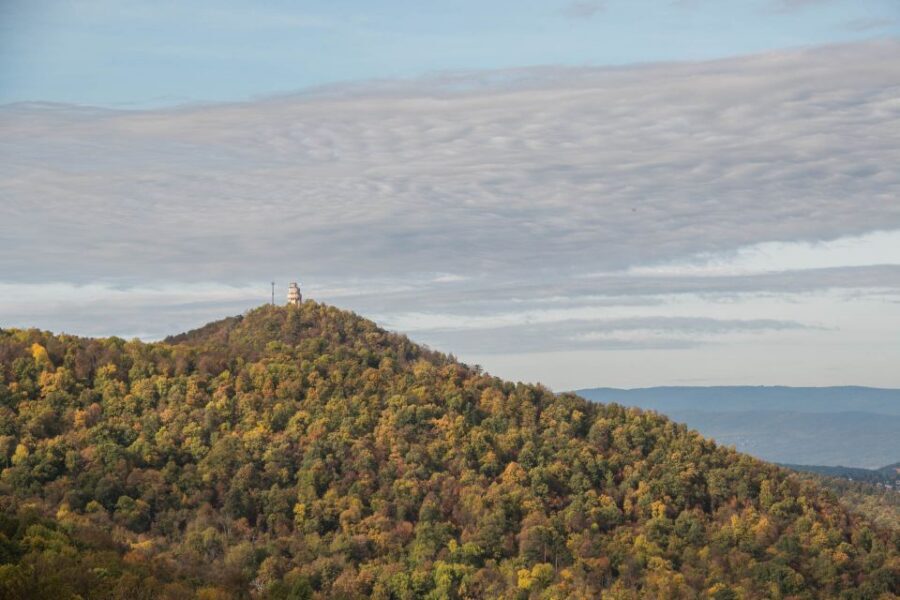 3Hour Outdoor Budapest Normafa Hike&History With a Historian - The easy hike to Elizabeth Lookout: your “short effort, big reward” stretch
