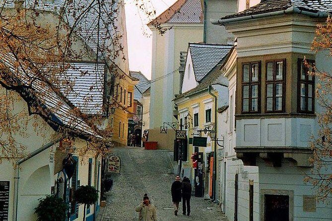 Along the shore of Danube river, private tour - Lower Visegrád and Optional Falconry or Knight Jousts