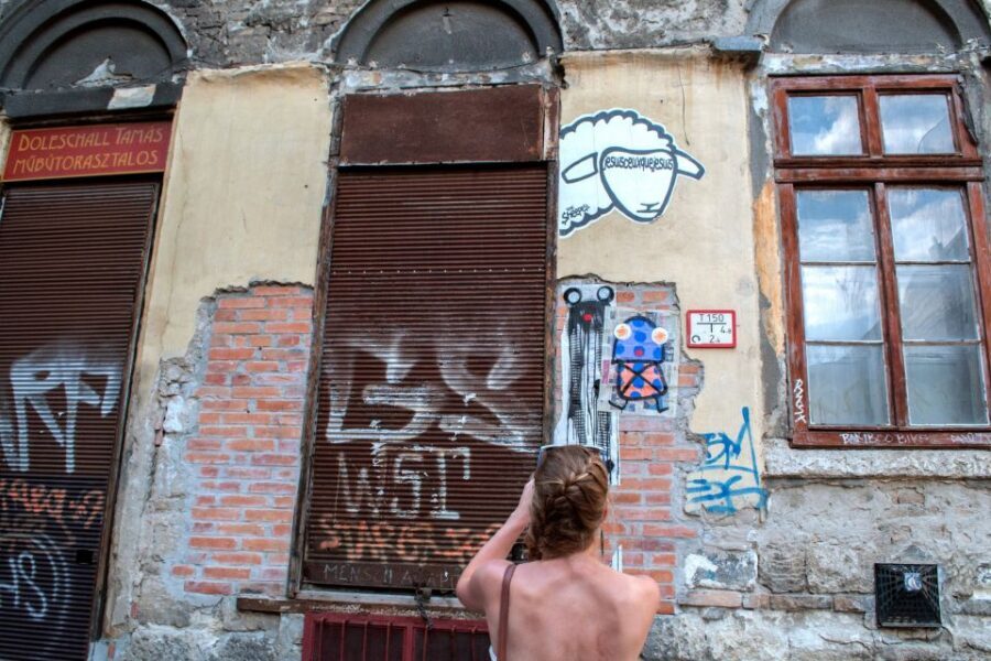Alternative Budapest Walking Tour - Key things you’ll notice on this Alternative Budapest walk
