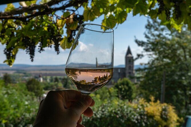 Be a movie star! Film Tour, Escape room, in Budapest and Etyek - Etyek estate tour: from grape processing to your lunch