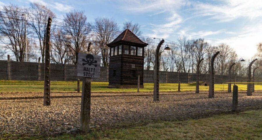 Budapest: Auschwitz Birkenau Private Day Tour - A long, moving day from Budapest to Auschwitz-Birkenau