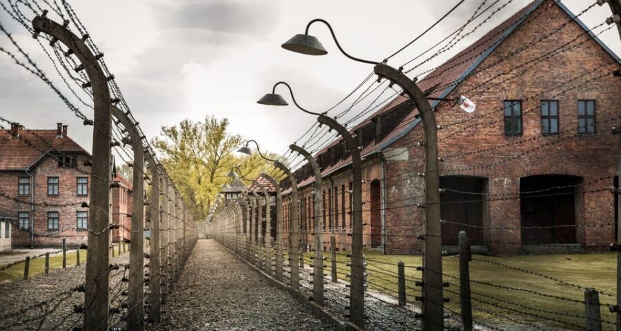Budapest: Auschwitz Birkenau Private Day Tour - The drive setup: hotel pickup, air-conditioned comfort, and timing