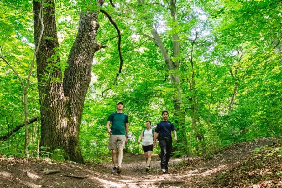 Budapest: Buda Hills Guided Hiking Tour with Optional Lunch - Kis-Hárs hill: the second big Budapest panorama