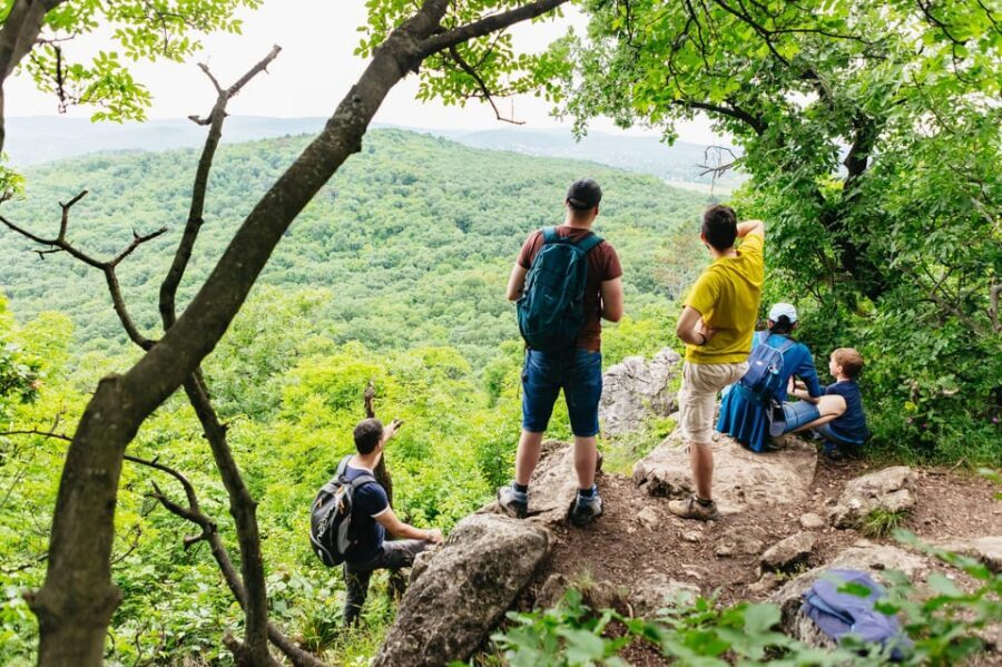 Budapest: Buda Hills Guided Hiking Tour with Optional Lunch - Elizabeth Lookout Tower and the cave stop