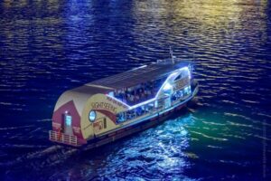 Budapest: Danube River City Lights Express Cruise - Audio guide app: how it works and what to bring