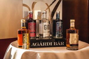 Budapest: Hungarian Whisky, Gin, and Pálinka Tasting - Meeting on Deák Ferenc tér: easy start, tight group