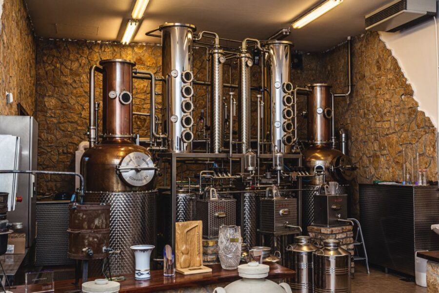 Budapest: Hungarian Whisky, Gin, and Pálinka Tasting - What you eat during the tasting: small plates to steady your day