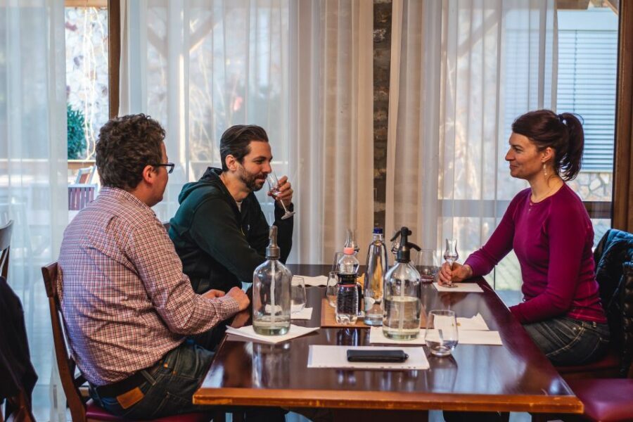 Budapest: Hungarian Whisky, Gin, and Pálinka Tasting - The guide experience: questions, added context, and extra value