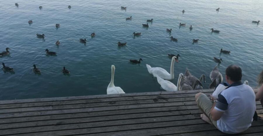 Budapest: Lake Balaton & Herend Porcelain Private Day Tour - Key reasons this day tour works