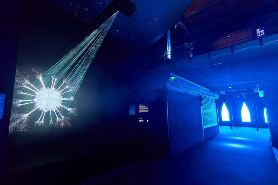Budapest: Light Art Museum - Immersive New Media Experience - Price and Value: Is $18 Worth It?