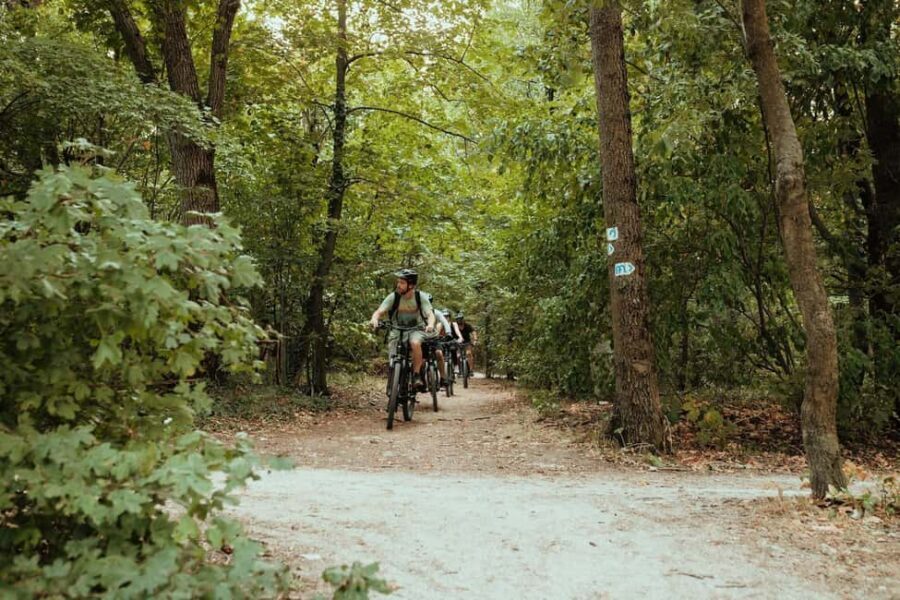 Budapest Peaks: Off-Road eBike Tour - Quick highlights