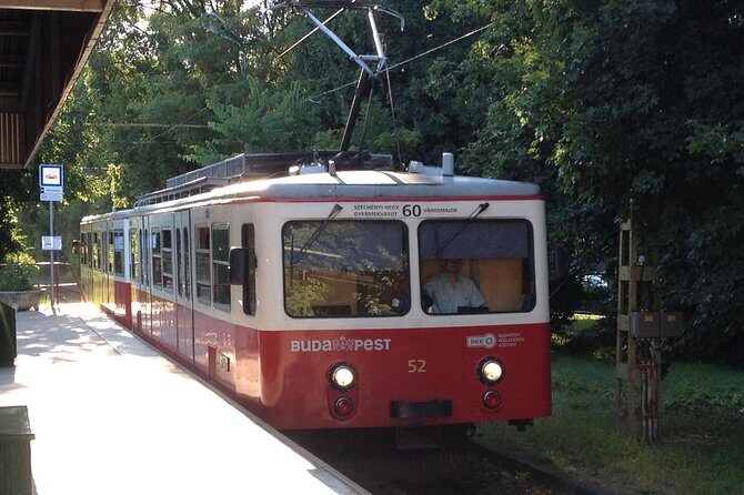 Budapest: Private Adventure Sightseeing Bicycle Tour - Elizabeth Lookout: the view you came for