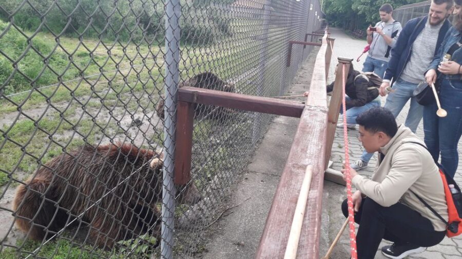 Budapest: Transport & Guided Tour of Bear and Wolf Sanctuary - Key highlights worth planning for