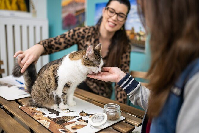 Cat Museum Budapest Entry Ticket - The cats: petting time, feeding moments, and how to keep it respectful