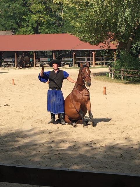 Countryside ranch, horse show & lunch - Timing and flow: how the 5 hours stay worth it