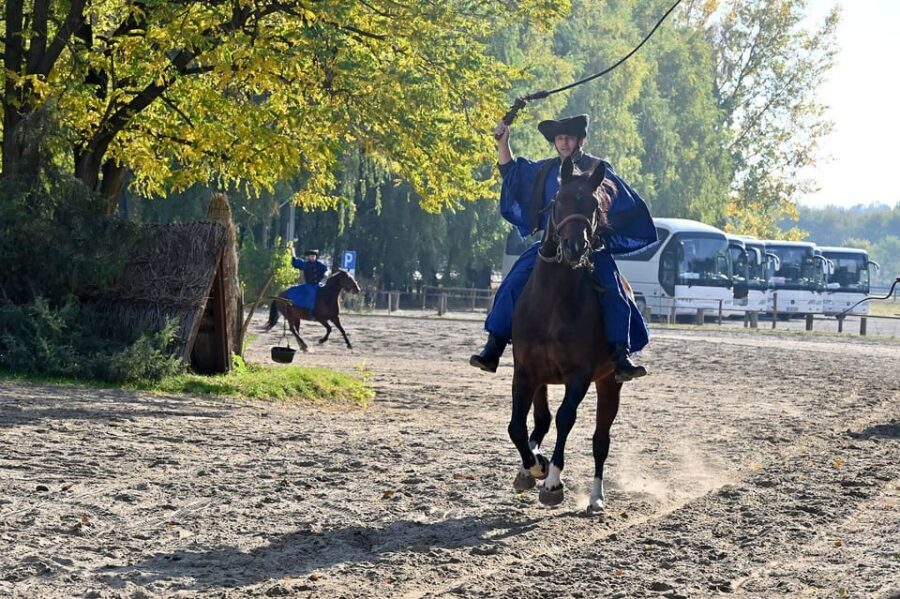 Countryside ranch, horse show & lunch - Who this tour is best for