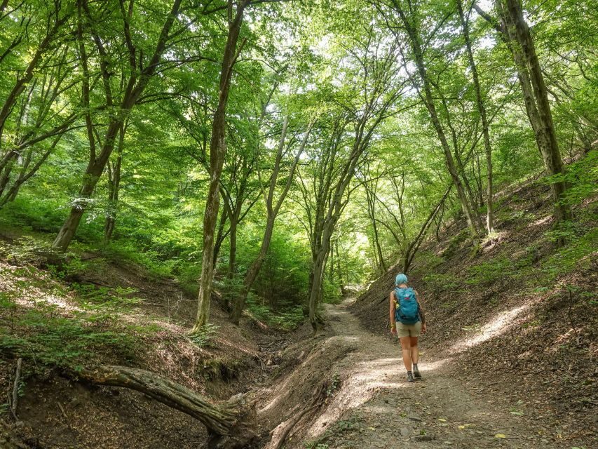 Danube Bend Hiking and Kayaking Adventure - Getting out of Budapest: the Nagymaros detour that sets the tone
