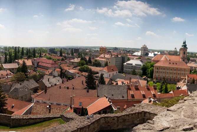 Eger Private Full-Day Wine Tasting Tour and Sightseeing from Budapest - Winery pair of tastings: how the Egri Bikavér day actually feels