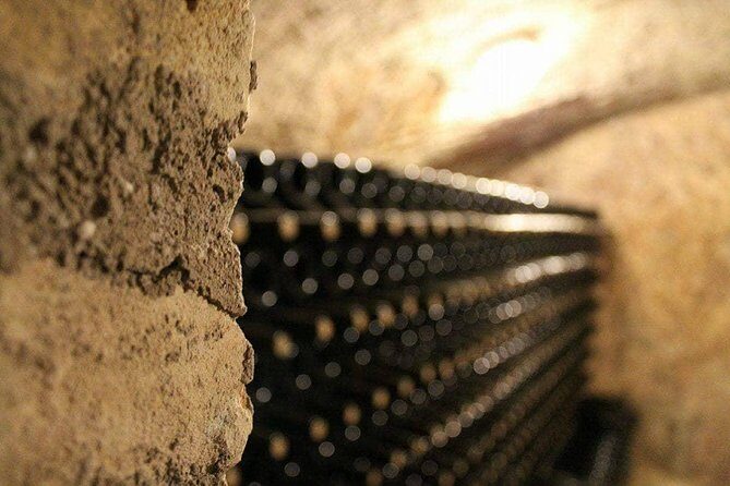 Eger Private Full-Day Wine Tasting Tour and Sightseeing from Budapest - Should you book this private Eger wine day from Budapest?