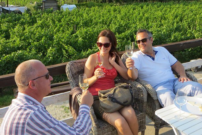 Etyek Private Half-Day Wine Tasting Tour from Budapest - Stop in Etyek Village: A Small Town Wine Base With a Big Reputation for Whites