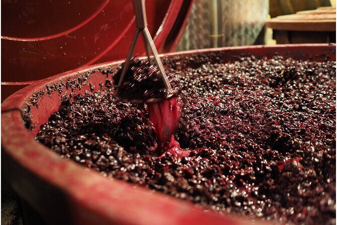 Etyek Private Half-Day Wine Tasting Tour from Budapest - Two Family Wineries: How the Tastings Work and What You’ll Learn