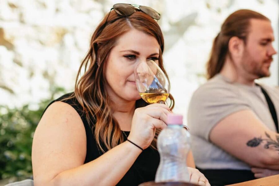 From Budapest: Etyek Wine Tasting Tour with 3-Course Meal - The 3-Course Home Meal: Hungarian Comfort Food Meets Your Wine Notes