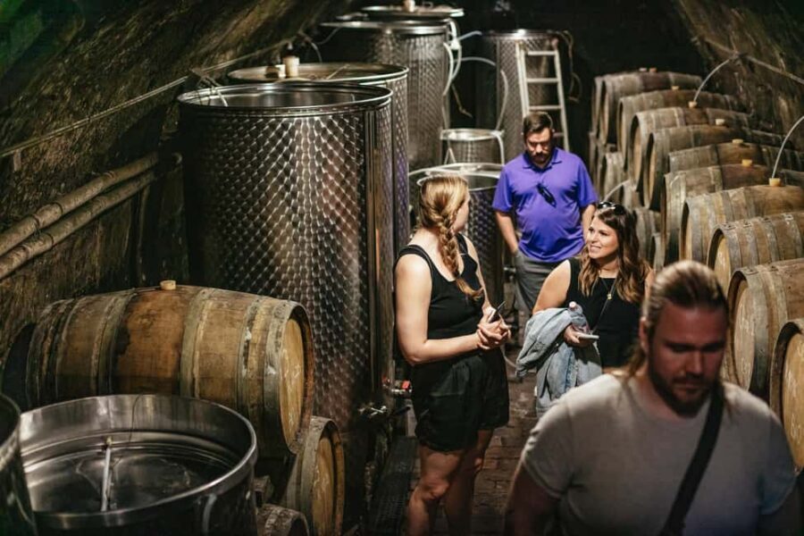 From Budapest: Etyek Wine Tasting Tour with 3-Course Meal - How Many Tastings You’ll Really Get (and How to Pace Yourself)