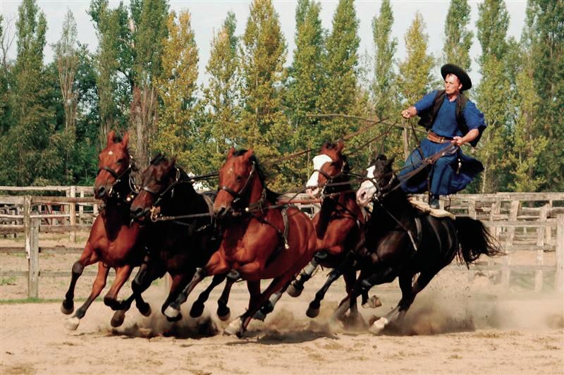 From Budapest: Full-Day Puszta Tour with Lunch and Show - Key things I think you’ll like