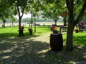 From Budapest: Full-Day Puszta Tour with Lunch and Show - Kecskemét guided walk: what you’re actually doing