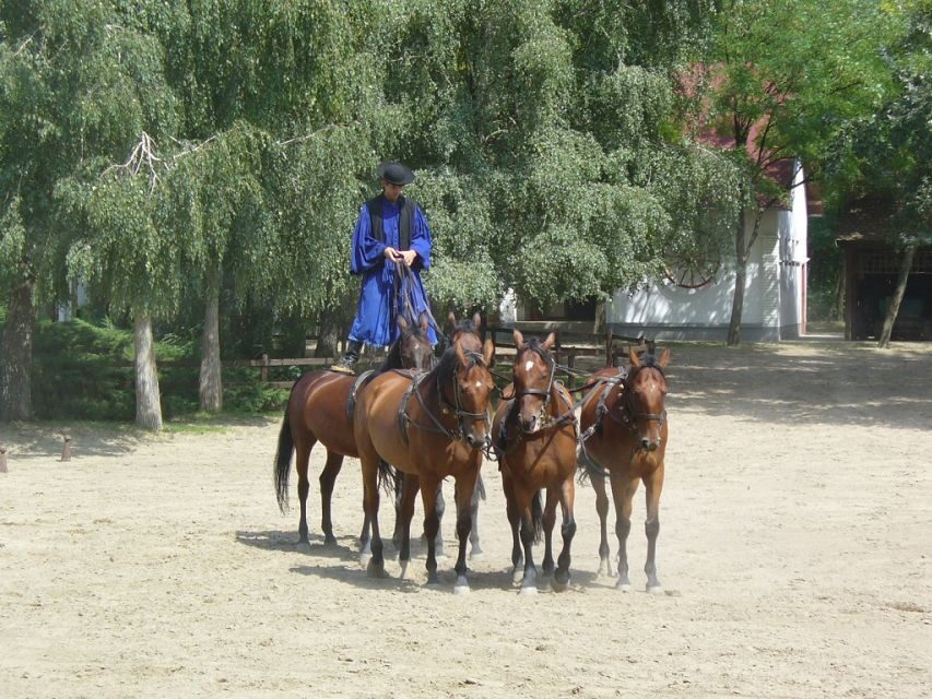 From Budapest: Full-Day Puszta Tour with Lunch and Show - Included value: what’s actually covered in the $133