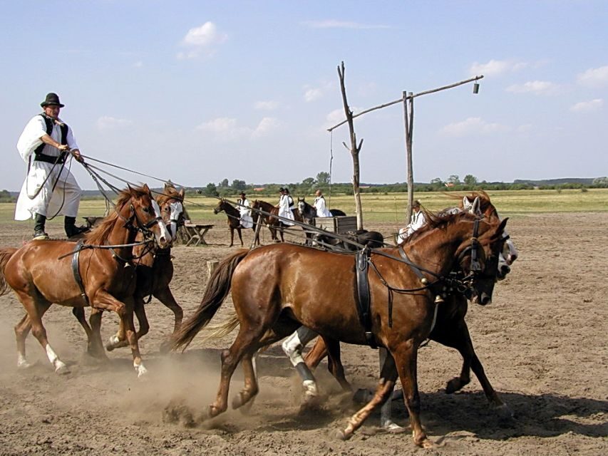 From Budapest: Full-Day Puszta Tour with Lunch and Show - Transport, timing, and where the day can feel long