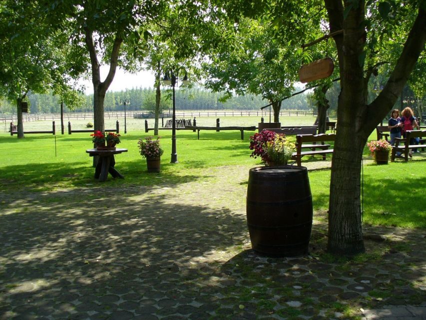 From Budapest: Full-Day Puszta Tour with Lunch and Show - Kecskemét guided walk: what you’re actually doing