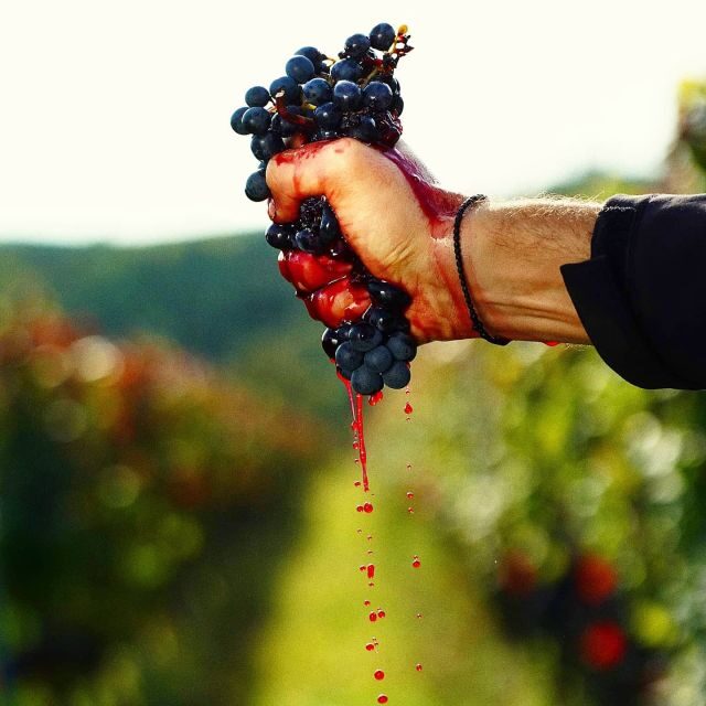 From Budapest: Guided Tour of Eger with Wine Tasting - Who this tour is for (and who should consider DIY)