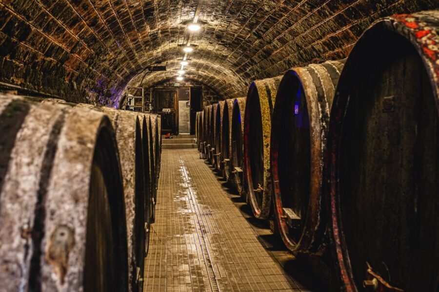 From Budapest: Mátra Hills Wine Tour - What kinds of wines you’ll actually taste (white-first, reds included)
