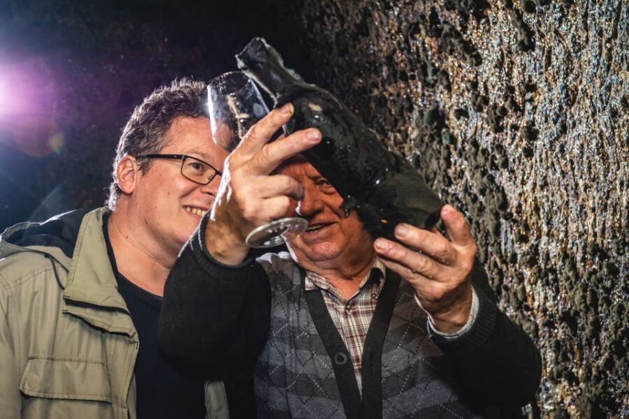 From Budapest: Mátra Hills Wine Tour - Food pairing: meat, cheese, and olives do the heavy lifting