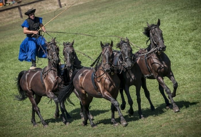 From Budapest: Puszta Horse Show and Countryside Visit - Why the Puszta Horse Show Tour is a smart Budapest escape