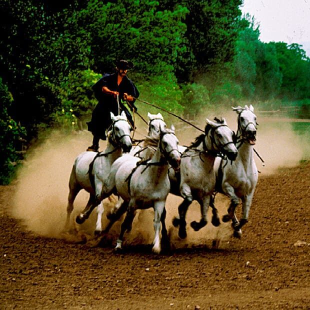 From Budapest: Puszta Horse Show and Countryside Visit - Getting there: bus time, pacing, and why the schedule matters
