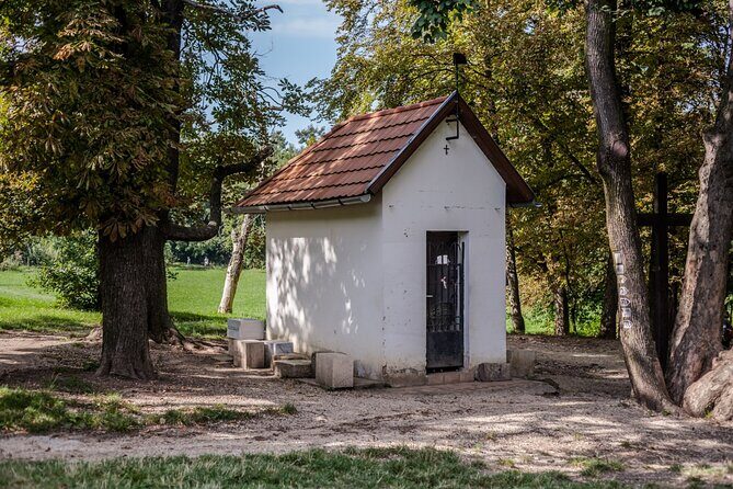 Hiking + Chairlift ride + viewpoints in Budapest - Normafa walking area: giant trees, green fields, and a food break