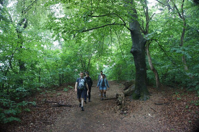 Hiking in Budapest - A Half-Day Forest Escape Just Outside Budapest’s Core