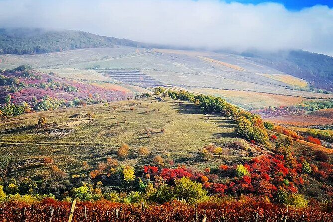 Home to Bull's Blood red wine! Eger with winetaste private tour - From Budapest pickup to Eger Castle with a private schedule