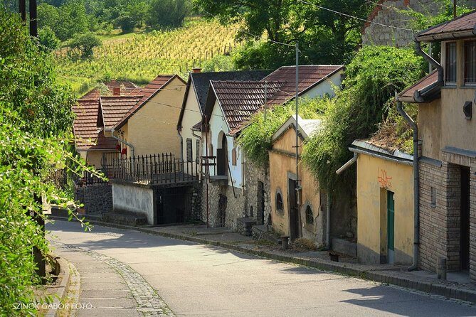Home to Bull's Blood red wine! Eger with winetaste private tour - Dobo Square, the Lyceum area, and the little details that stick