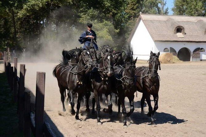 Horseshow on the Hungarian Puszta, private tour from Budapest with entry! - Kiskunság National Park: carriage ride, stables, and the show