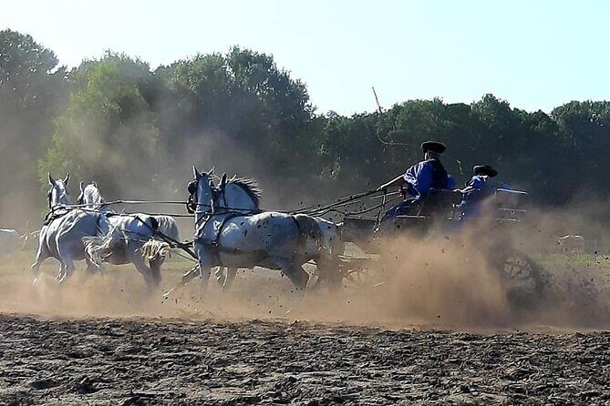 Horseshow on the Hungarian Puszta, private tour from Budapest with entry! - What the included Hungarian lunch and wine really means for your day