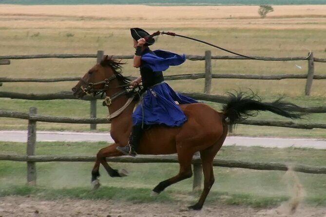 Horseshow on the Hungarian Puszta, private tour from Budapest with entry! - Show tickets, fees, and mobile tickets: fewer surprises