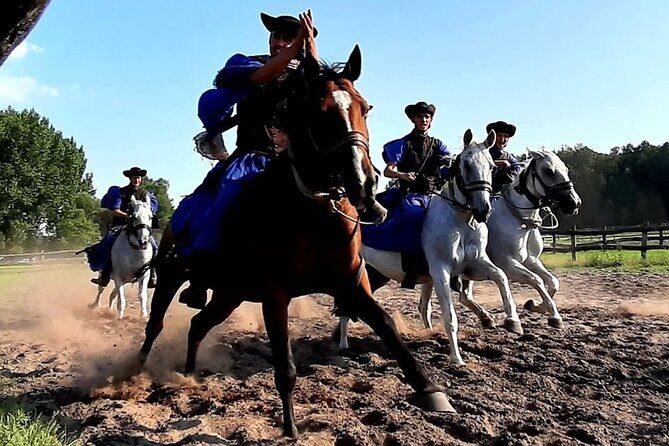 Horseshow on the Hungarian Puszta, private tour from Budapest with entry! - What to expect from the timing (and how to plan your day in Budapest)