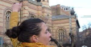 Jewish Quarter of Budapest Walking Tour - Meeting at Budapest Eye with a Royal Blue flag: logistics that actually matter