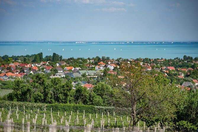 Lake Balaton Full Day Private Wine Tour - Tihany Echo and Tihany Village: Abbey Views and a Short Village Walk