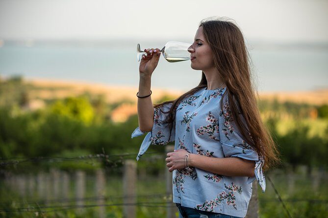 Lake Balaton Full Day Private Wine Tour - Price and Value: What $1,919.88 per Group Covers