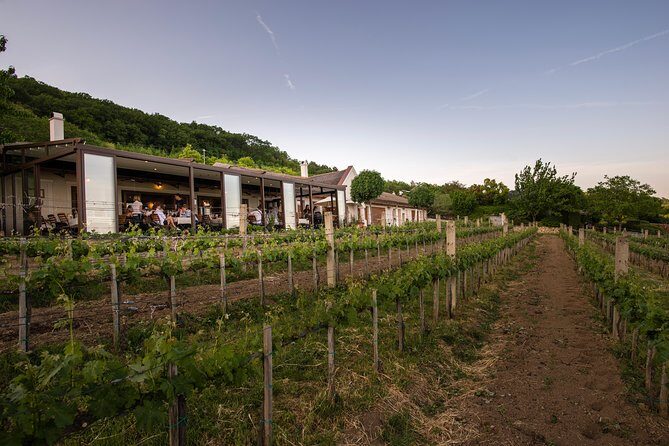 Lake Balaton Full Day Private Wine Tour - Who This Private Lake Balaton Wine Tour Fits Best