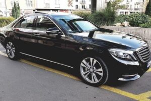 Mercedes S Class/BMW7 Private Budapest Half Day Tour - Gellert Hill: big views, minimal hassle